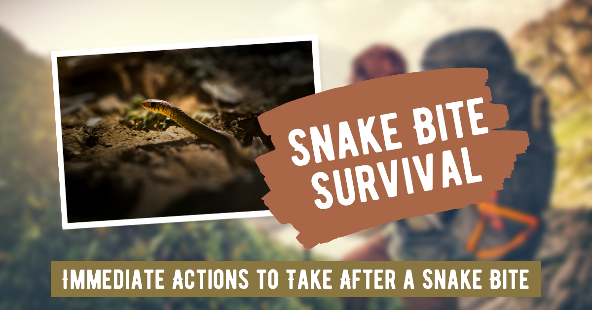 Immediate Actions to Take After a Snake Bite: A Critical Guide to Safety and Survival